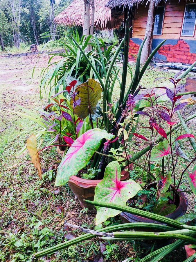 Baan Jing Jai Homestay Resort Lanta Ko Lanta Extérieur photo